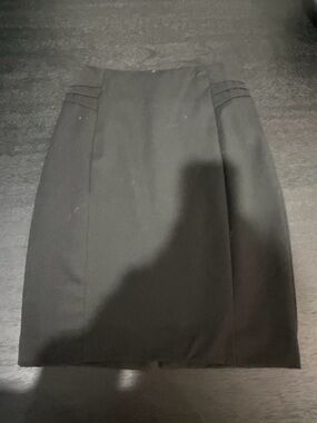 Express Black Women's Pencil Skirt with Subtle Panel Detail